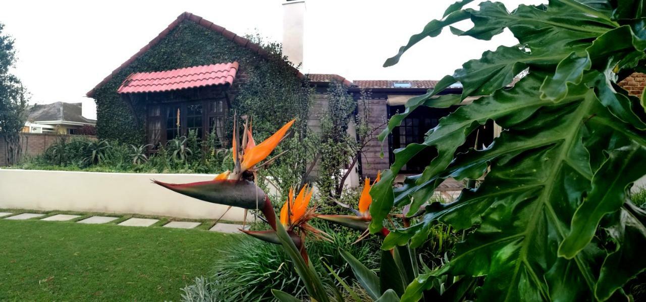 Gardenview Guest House Port Elizabeth Eksteriør billede